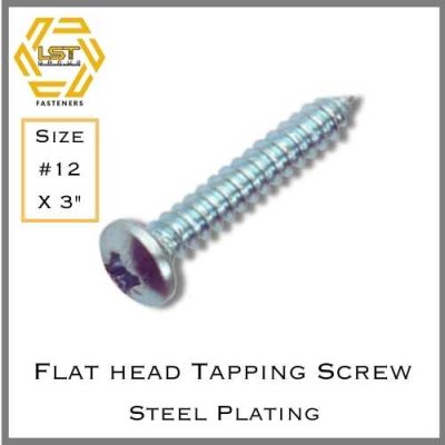 สกรูเกลียวปล่อยเหล็กชุบขาว หัว P Self Tapping Screw PH #12 X 3"