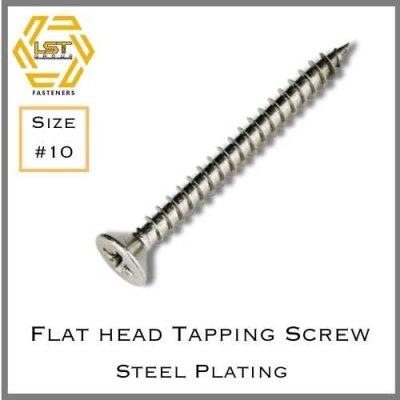 สกรูเกลียวปล่อยเหล็กชุบขาว หัว F Self Tapping Screw FH #10