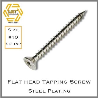 สกรูเกลียวปล่อยเหล็กชุบขาว หัว F Self Tapping Screw FH #10 X 2-1/2"