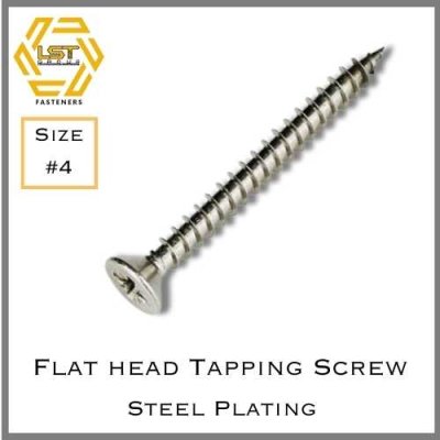 สกรูเกลียวปล่อยเหล็กชุบขาว หัว F Self Tapping Screw FH #4