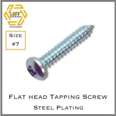 สกรูเกลียวปล่อยเหล็กชุบขาว หัว P Self Tapping Screw PH #7