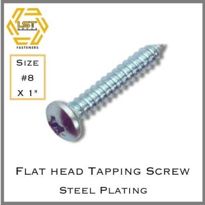 สกรูเกลียวปล่อยเหล็กชุบขาว หัว P Self Tapping Screw PH #8 X 1"