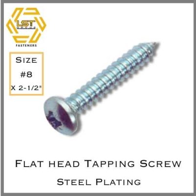 สกรูเกลียวปล่อยเหล็กชุบขาว หัว P Self Tapping Screw PH #8 X 2-1/2"