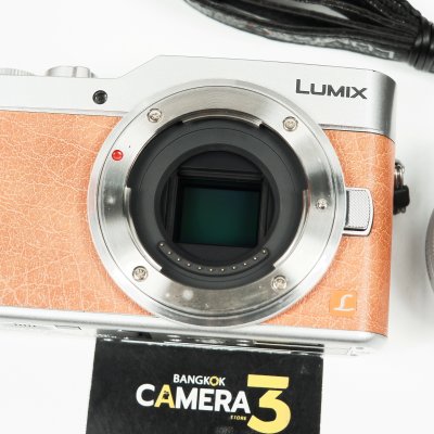 Lumix GF9