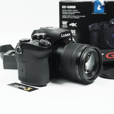 Lumix G90
