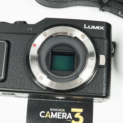 Lumix GF10
