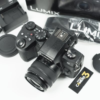Lumix G95