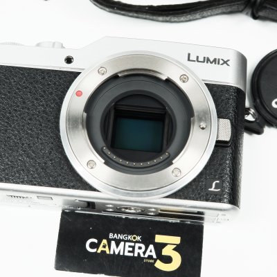 Lumix GF9