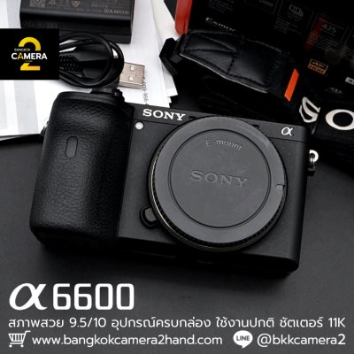 Sony A6600 Body