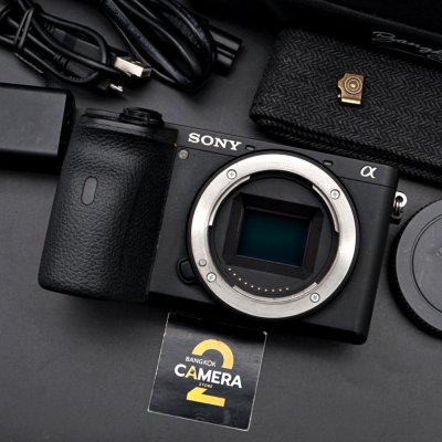 Sony A6600 Body