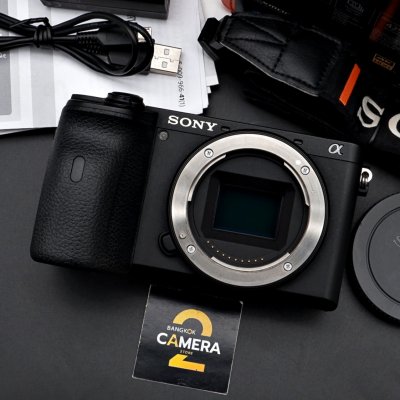 Sony A6600 Body
