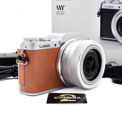 Lumix GF8