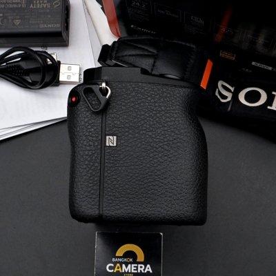 Sony A6600 Body
