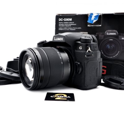 Lumix G90