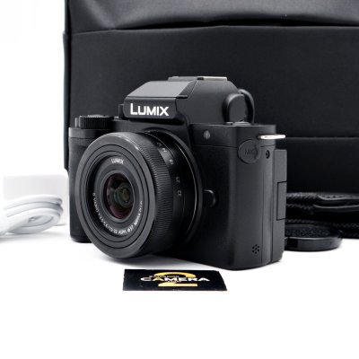 Lumix G100