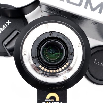 Lumix 100-300mm F4-5.6 II