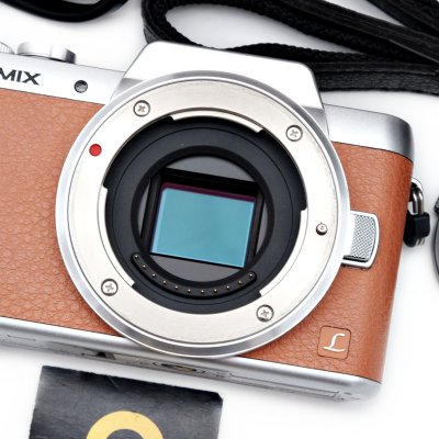 Lumix GF8