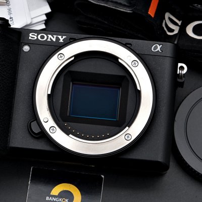 Sony A6600 Body