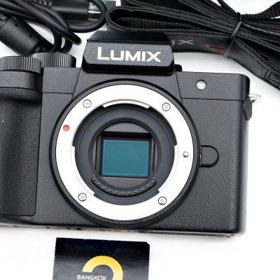Lumix G100D