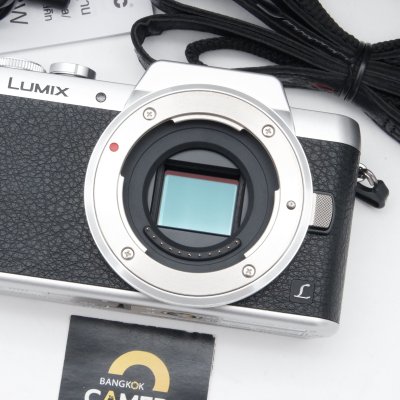 Lumix GF8