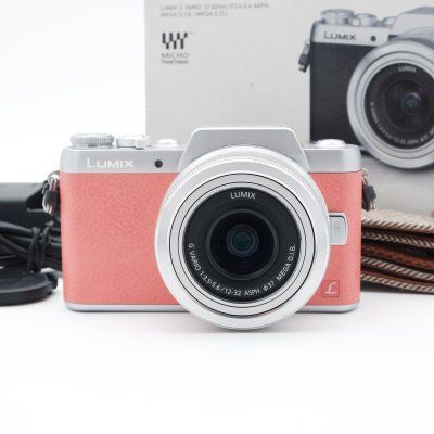 Lumix GF8