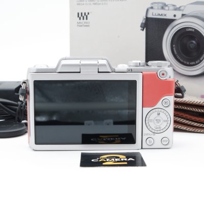 Lumix GF8