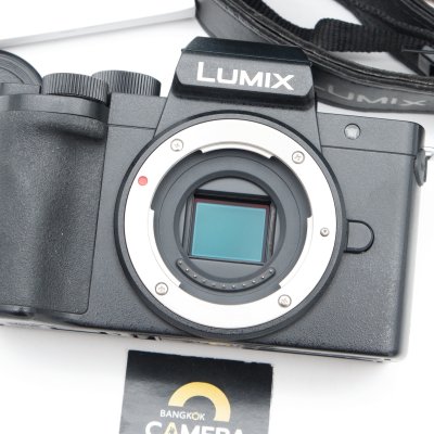 Lumix G100