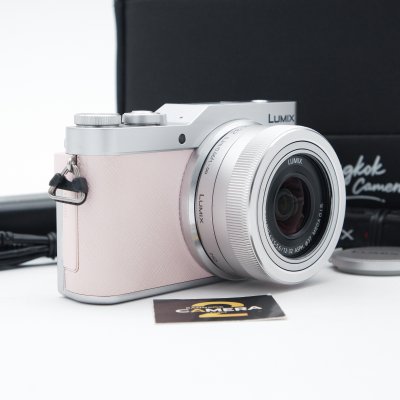 Lumix GF9