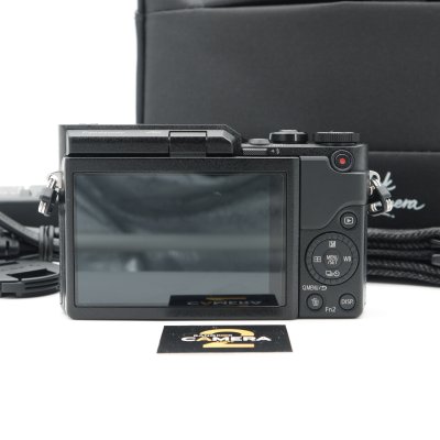 Lumix GF10