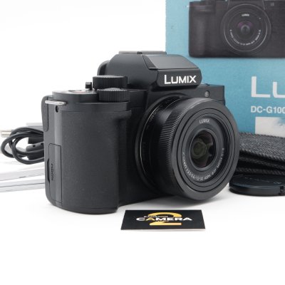 Lumix G100