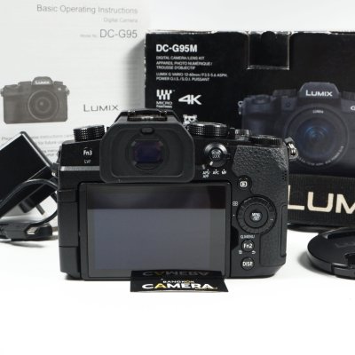 Lumix G95