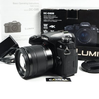 Lumix G95