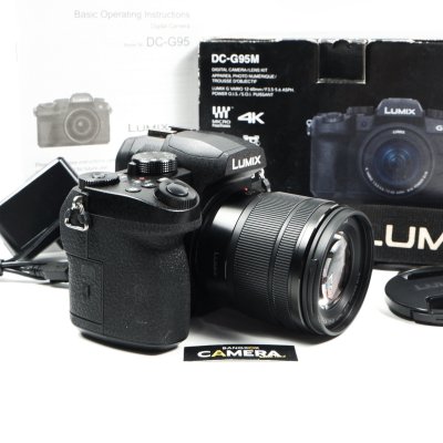 Lumix G95