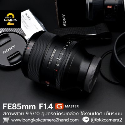 FE85mm F1.4 GM