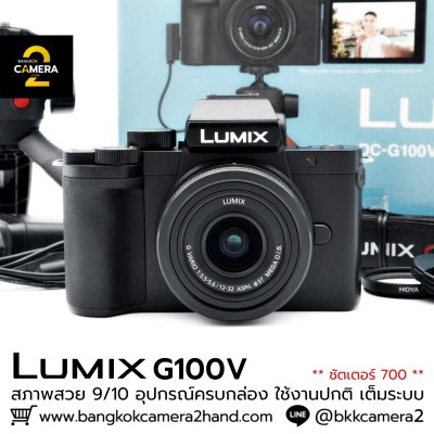 Lumix G100V