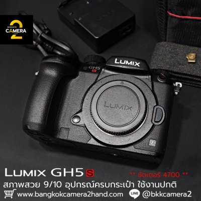 Lumix GH5s body