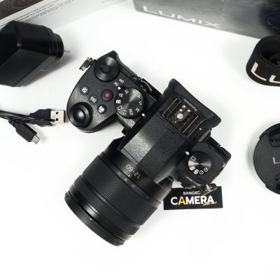 Lumix G95