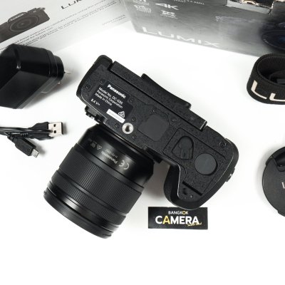 Lumix G95