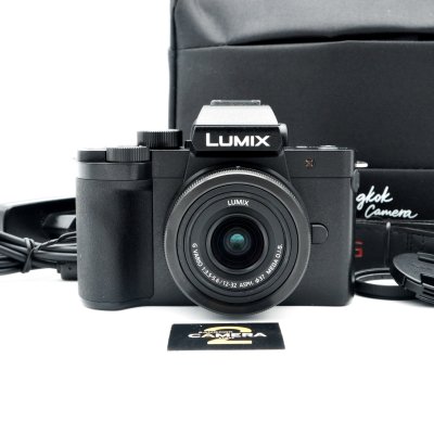 Lumix G100D