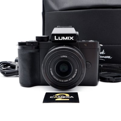 Lumix G100