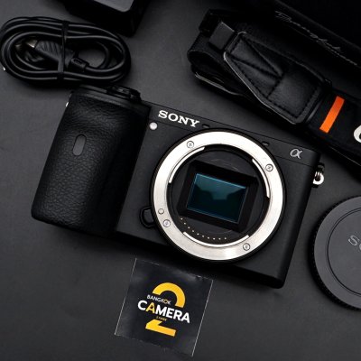 Sony A6600 Body