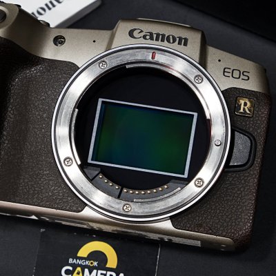 Canon EOS RP Gold Body