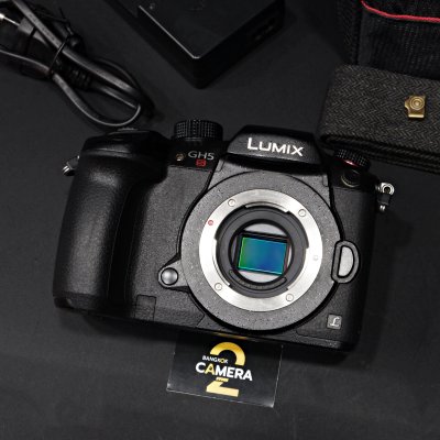 Lumix GH5s body