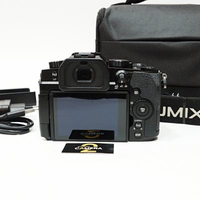Lumix G95