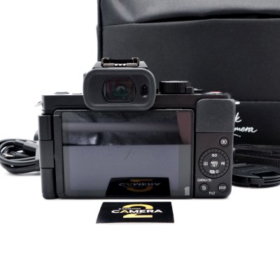 Lumix G100
