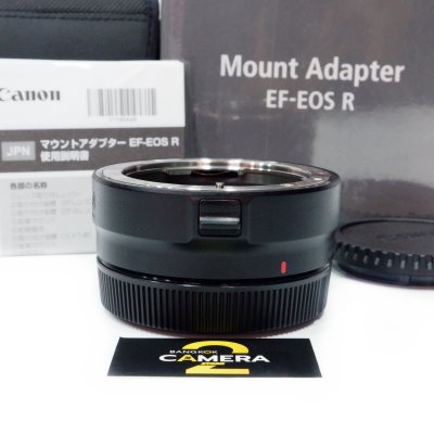 Adapter EF-EOS R