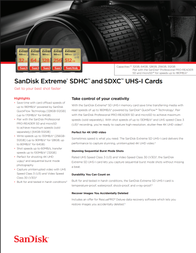 SanDisk Extreme SDXC UHS-I 64GB