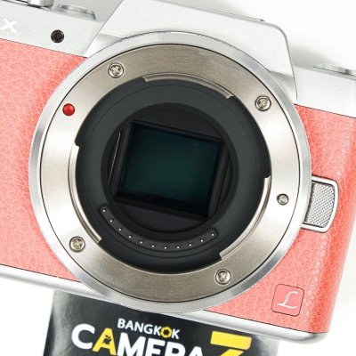 Lumix GF8