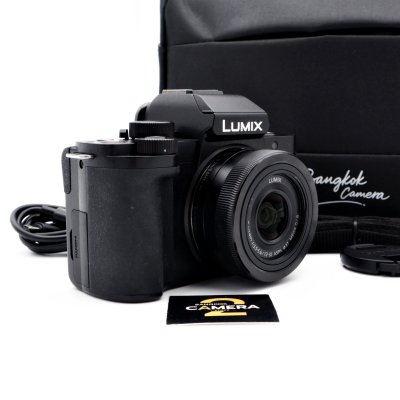 Lumix G100