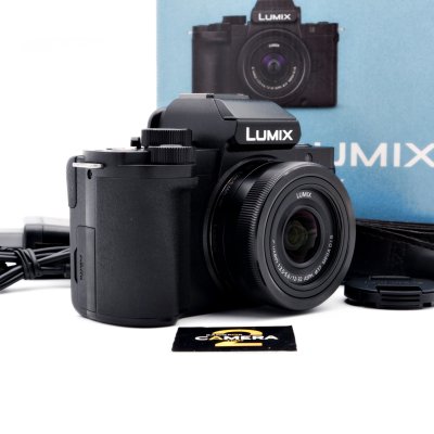 Lumix G100